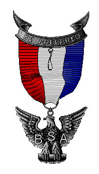 eagle scout pin