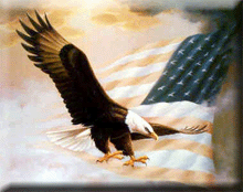 Eagle over flag