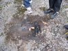 Fall Camporee Picture