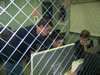 Merit badge 2007