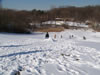 sledding 2008