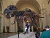 field museum trip