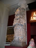 field museum trip