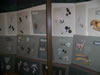 field museum trip