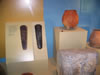 field museum trip