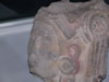 field museum trip