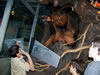field museum trip