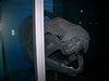 field museum trip