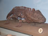field museum trip