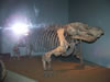 field museum trip