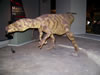 field museum trip