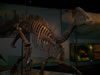 field museum trip