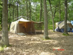 around camp - summer camp 08