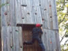 climbing, shooting, and rockets - summer camp 2008