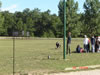 climbing, shooting, and rockets - summer camp 2008