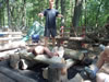 the built fire - summer camp 2008