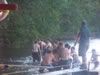 water carnival - summer camp 2008