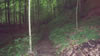Backpacking trip