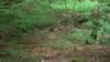 Backpacking trip
