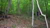 Backpacking trip