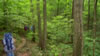 Backpacking trip
