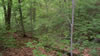 Backpacking trip