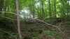 Backpacking trip