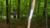 Backpacking trip