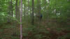 Backpacking trip