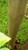 hiking 2009
