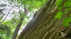 hiking 2009