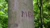 hiking 2009