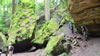 hiking 2009