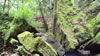 hiking 2009