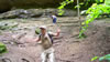 hiking 2009