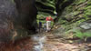 hiking 2009