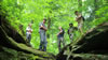 hiking 2009