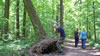 hiking 2009