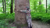 hiking 2009