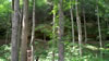 hiking 2009