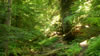 hiking 2009