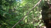 hiking 2009
