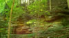 hiking 2009