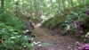 hiking 2009