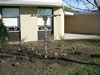Ryan Reynold's Eagle Scout project