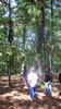 around camp - Owasippe 2009