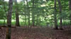 around camp - Owasippe 2009