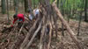 around camp - Owasippe 2009