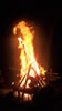 closing fire - Owasippe 2009