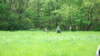 2010 World War II re-enactment